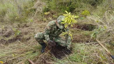 Jornada Nacional Ambiental Colombia