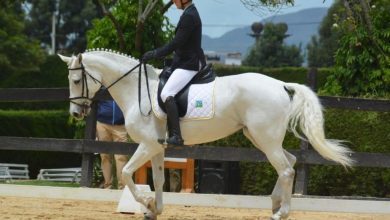 Binomio equino representa a Colombia