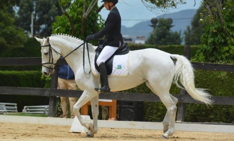 Binomio equino representa a Colombia