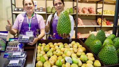 La participación de Boyacá en agroexpo