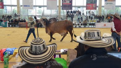 Vuelve Agroexpo la cadena productiva