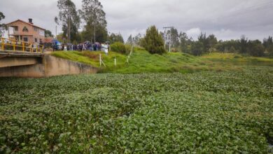 Avances en el Plan de Descontaminación