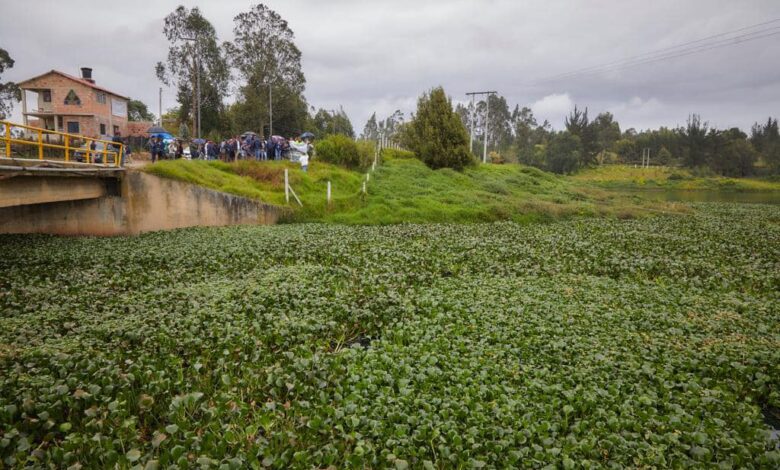 Avances en el Plan de Descontaminación