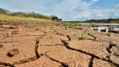 Recomendaciones ante el Fenómeno de El Niño