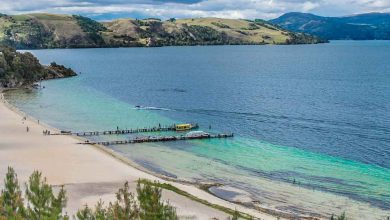 En Aquitania nadie vio nada