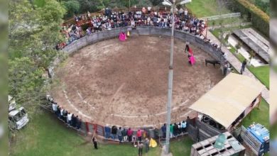 Festival taurino el 20 de julio