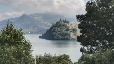 Abierta la convocatoria