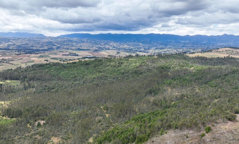 Corpoboyacá adquirió