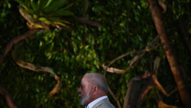 Negacionismo progresista