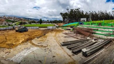 Replantar más de 2.500 árboles