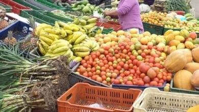 Tunja estuvo entre las 10 ciudades