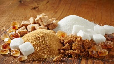 Cuáles son los alimentos