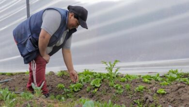 Cosechas de Agua estrategia