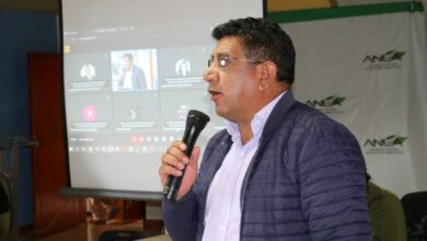 Resultados de la reunión