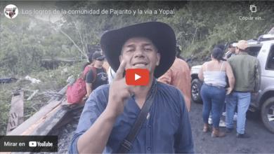 Comunidad de Pajarito