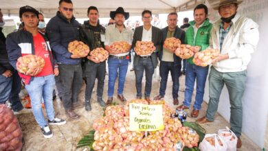 Preparados para la Fiesta de la Papa