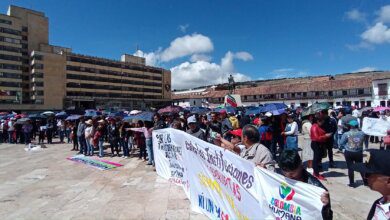 Un Carnaval por la Vida