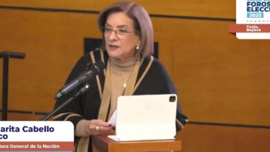 La Procuradora General de la Nación