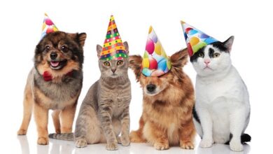 Sabe cuántos años tiene