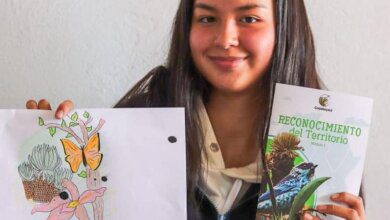 Escuelas Verdes