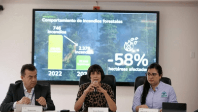 mitigar incendios