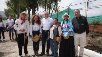 El Gobierno