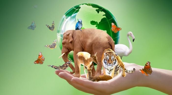 Día mundial de los animales