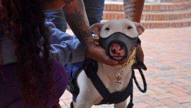 Bienestar y Protección Animal 2023