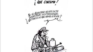 Qué Cinismo