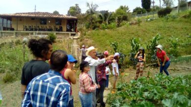 formación campesina