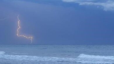 rayos