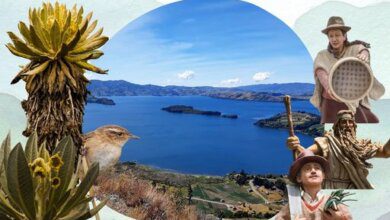 Festival de la Cultura Lagunera