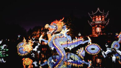 dragon