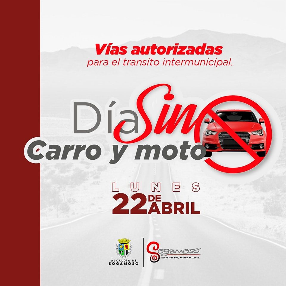 sin carro