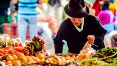 Alimentaria
