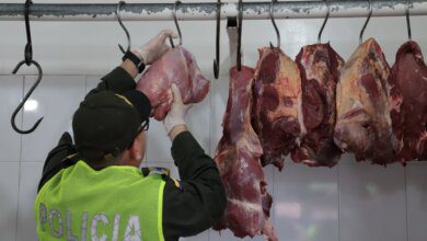 Carne
