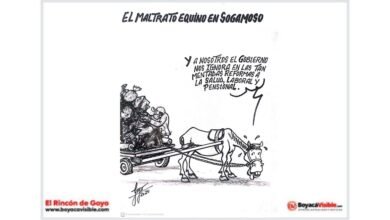 el maltrato equino en sogamoso