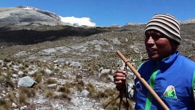 Cocuy