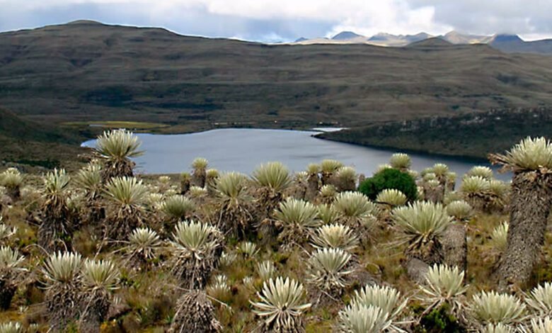 Páramo de Sumapaz