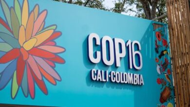 COP16