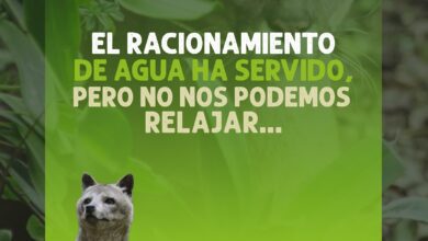 restriciones