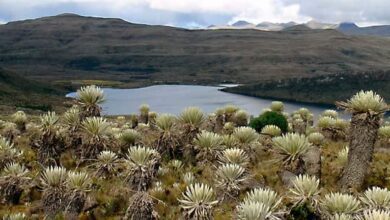 Sumapaz