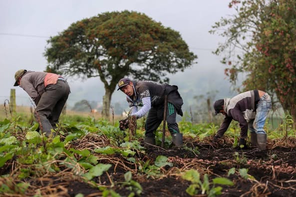 Agricultura