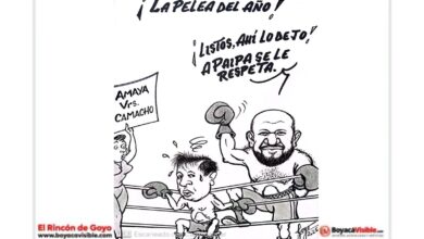 la pelea del año
