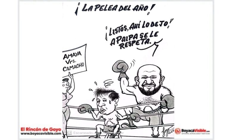 la pelea del año